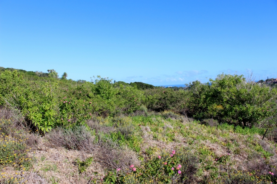 0 Bedroom Property for Sale in Forest Downs Eastern Cape